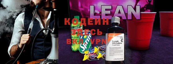 шишки Абаза