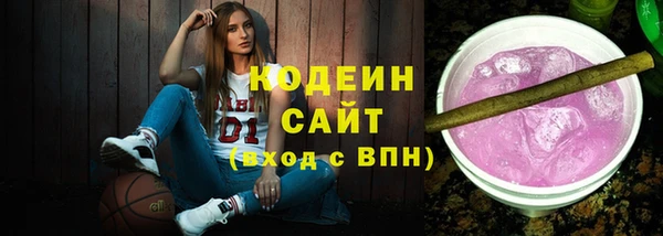 шишки Абаза