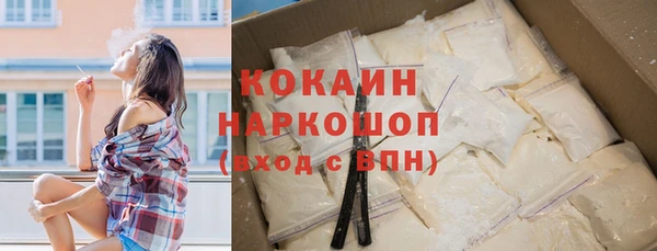 шишки Абаза