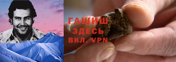 шишки Абаза