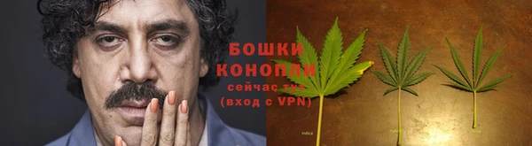 шишки Абаза