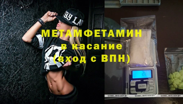 шишки Абаза