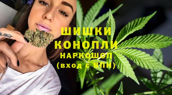 шишки Абаза