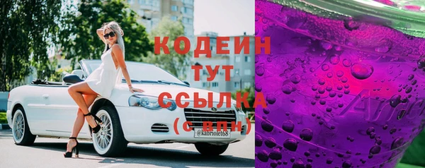 шишки Абаза