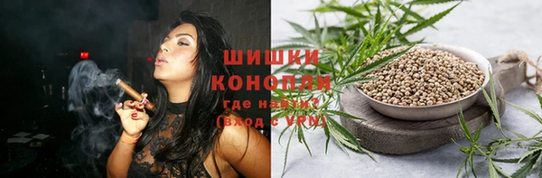 шишки Абаза