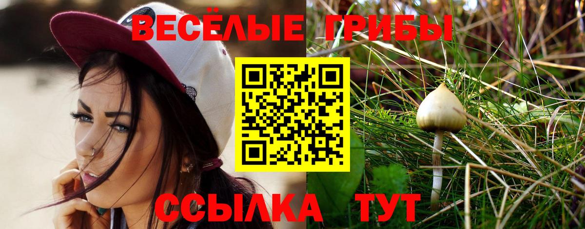 Шумерля  Галлюциногенные грибы Psilocybine cubensis  Псилоцибиновые грибы Cubensis  Вход с VPN 
